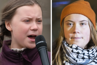 greta thunberg vermögen