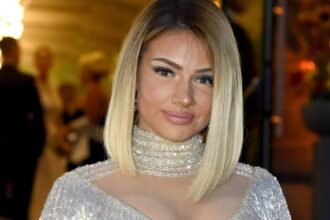 shirin david vermögen